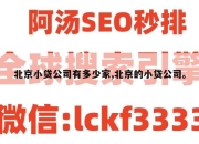 北京小贷公司有多少家,北京的小贷公司。