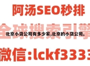 北京小贷公司有多少家,北京的小贷公司。