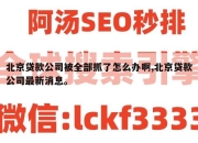 北京贷款公司被全部抓了怎么办啊,北京贷款公司最新消息。