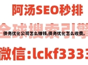 债务优化公司怎么赚钱,债务优化怎么收费。