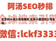 北京的小贷公司有哪些,北京小额贷款公司名称。