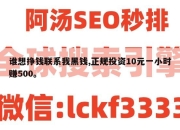 谁想挣钱联系我黑钱,正规投资10元一小时赚500。