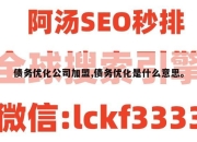 债务优化公司加盟,债务优化是什么意思。