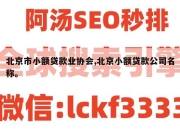 北京市小额贷款业协会,北京小额贷款公司名称。