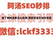 借了黑网贷要怎么处理,黑网贷怕不怕你报警。