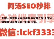 北京小额贷款公司排名昌平区有几家,北京小额贷款公司排名昌平区有几家。