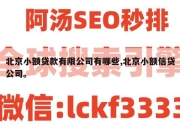 北京小额贷款有限公司有哪些,北京小额信贷公司。