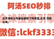 北京贷款公司被全部抓了吗现在,北京 贷款公司。