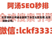 北京贷款公司被全部抓了会怎么样处理,北京 贷款公司。